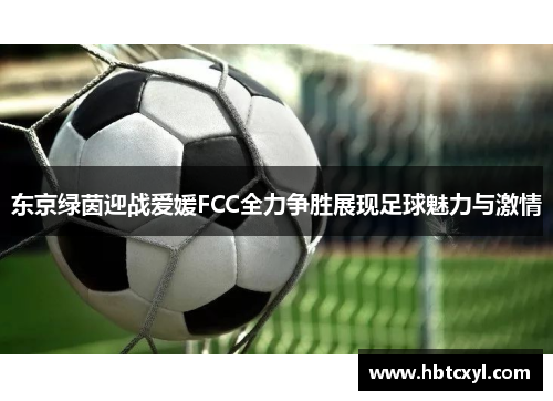 东京绿茵迎战爱媛FCC全力争胜展现足球魅力与激情