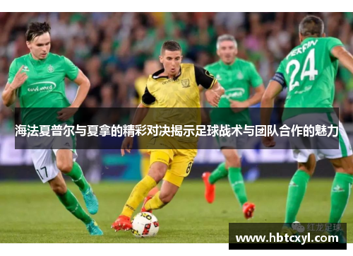 海法夏普尔与夏拿的精彩对决揭示足球战术与团队合作的魅力